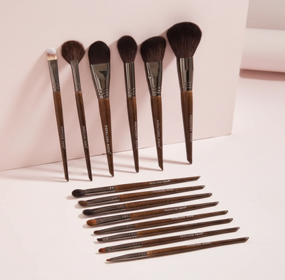 Professional Makeup Brush Set